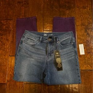 NWT Diane Gilman DG2 Jeans 24.5” Inseam Ombré Blue to Purple lower leg